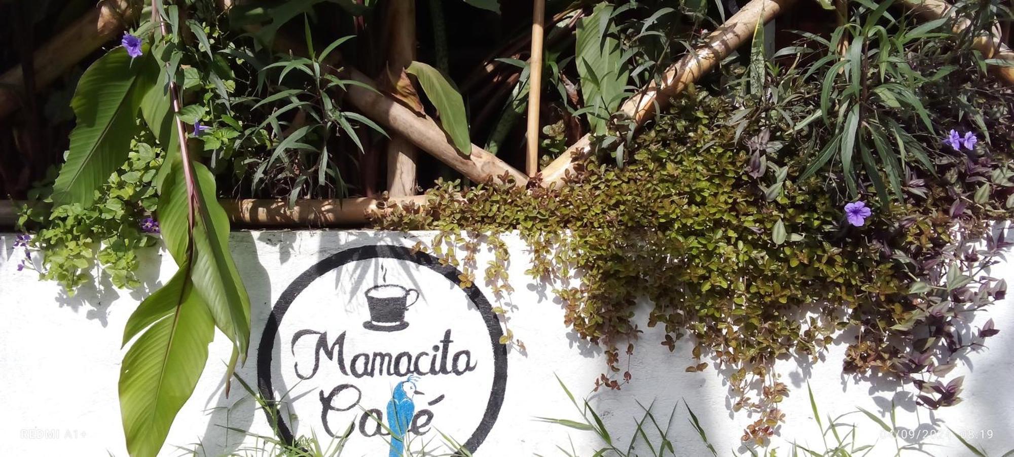 Mamacita Cafe House Hotel Moyogalpa Kültér fotó